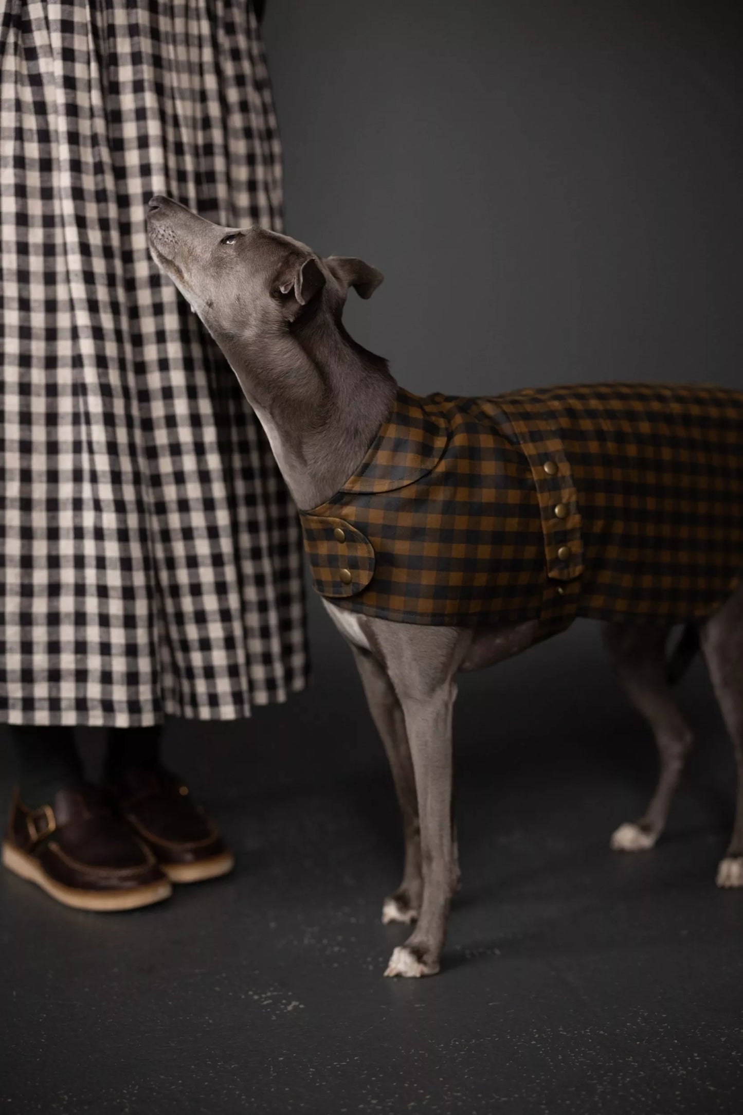 Merchant & Mills - The Barka Dog Coat