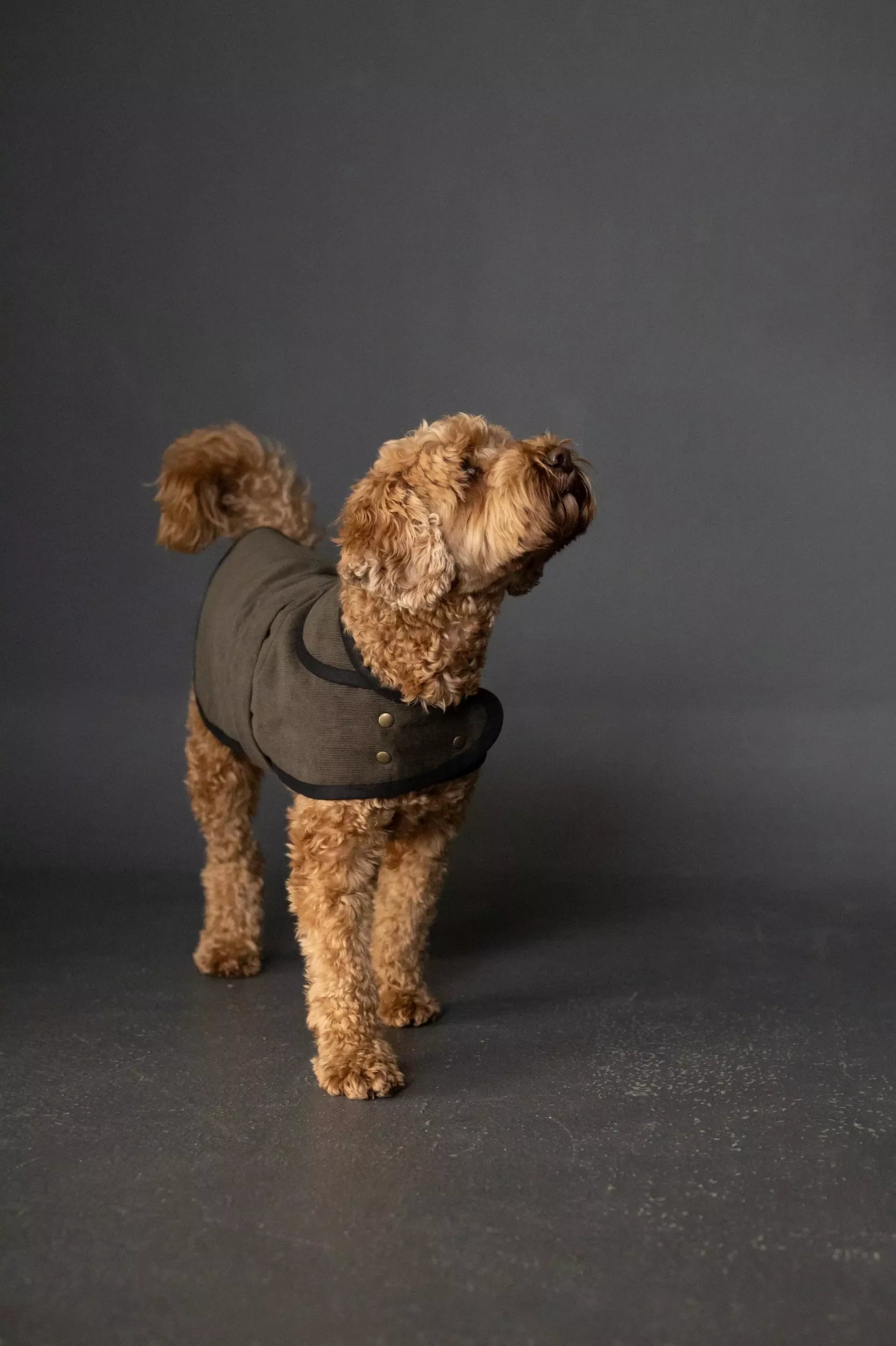 Merchant & Mills - The Barka Dog Coat